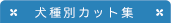 犬種別カット集