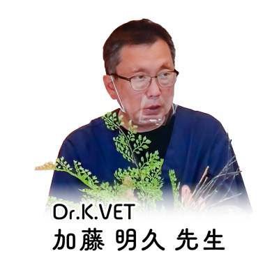 獣医師 推奨コメント
