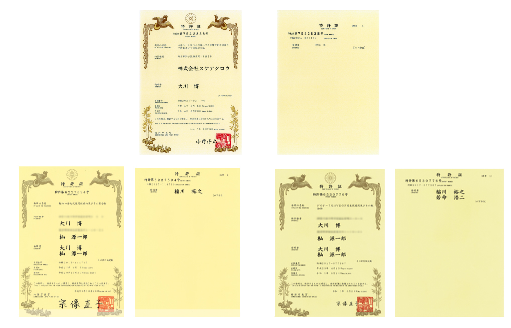 特許証 特許第6227594号:動物の発毛促進用組成物及びその配合物 許証 特許第6530776号 FGF-7又はVEGF産生促進剤及びその配合物 特許証 特許第6227594号:動物の発毛促進用組成物及びその配合物 許証 特許第6530776号 FGF-7又はVEGF産生促進剤及びその配合物