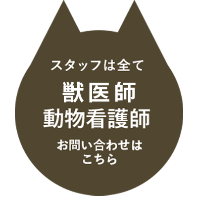 ペット専門相談員がお悩みにお応えいたします! ペット専門相談員がペットの食・サプリメントに関するお悩みにお応えいたします。お気軽にご連絡ください!