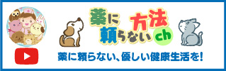 薬に頼らない方法チャンネルYouTube