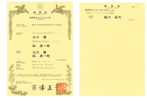 特許証・表彰状・感謝状・トロフィー
