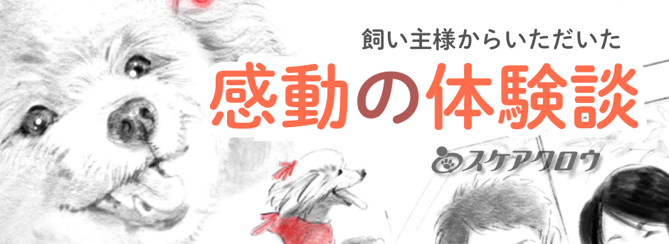感動の体験談