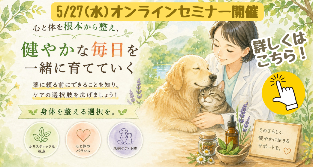 おくだ先生セミナー