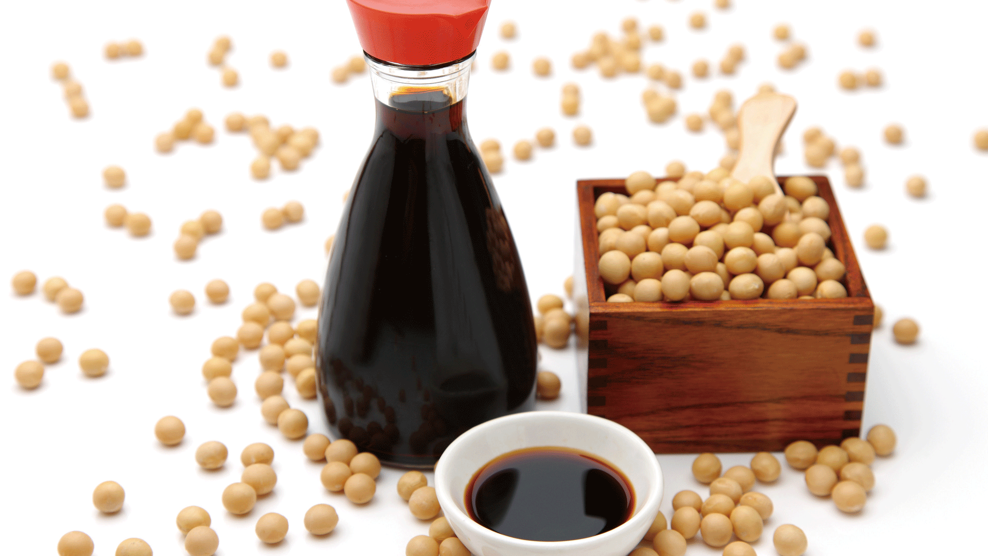 米麹粉末