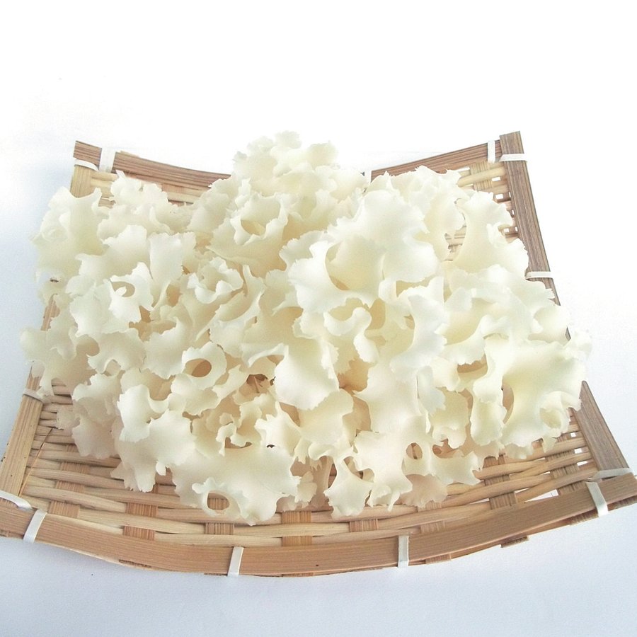 绣球菌（Sparassis crispa）