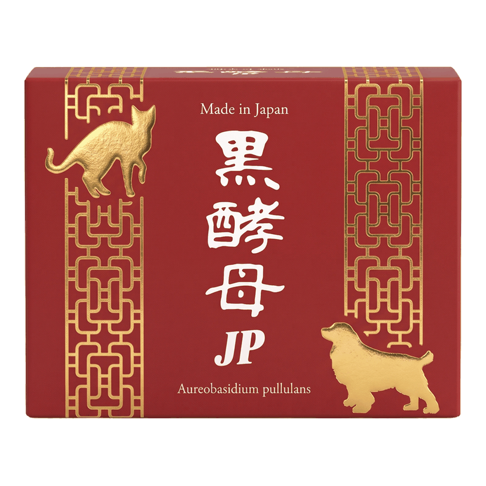 黑酵母JP