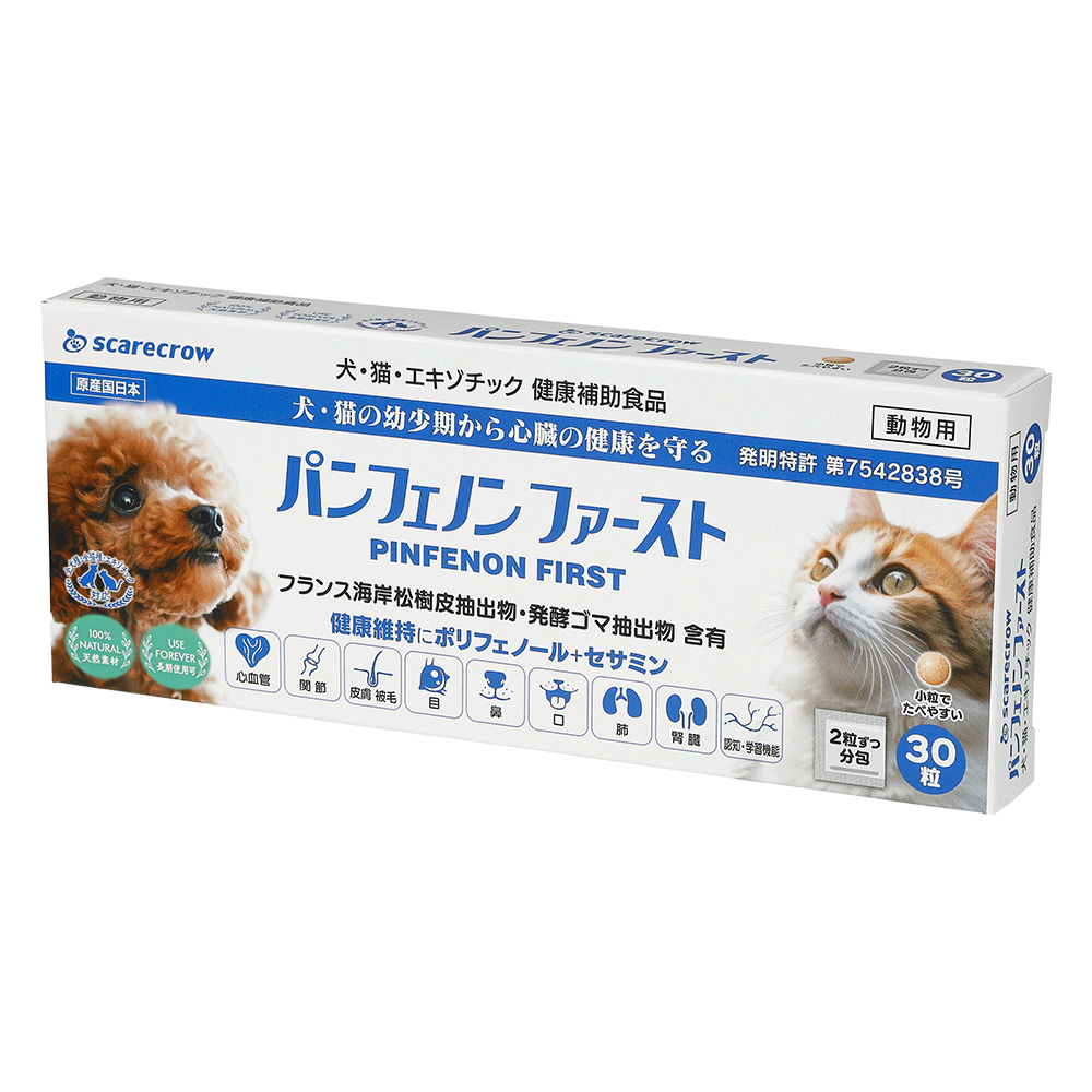 パンフェノンファースト