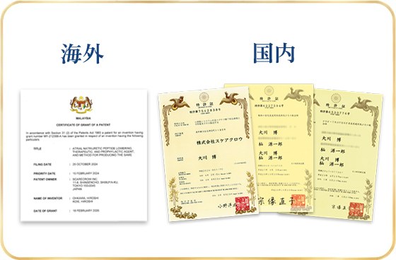 Four patent certificates held by Scarecrow Inc. (1 overseas, 3 in Japan)