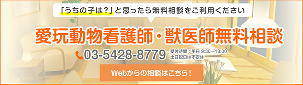 ペット専門相談員による無料健康相談サービス